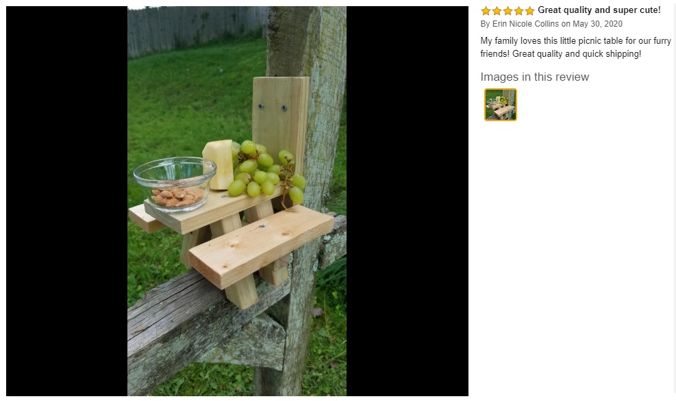 SquirrelSupply.com - Stained Squirrel Feeder Picnic Table - Large