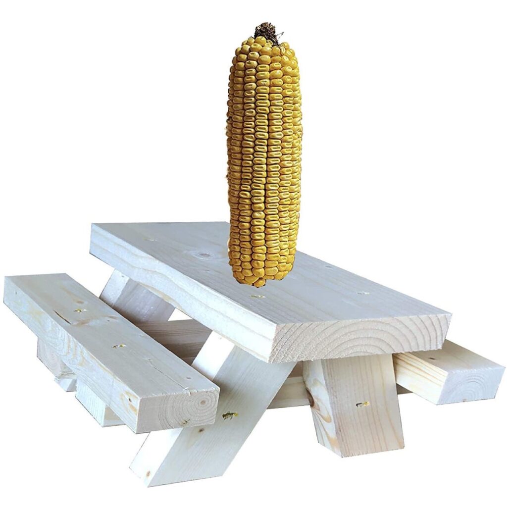 SquirrelSupply.com -Squirrel Feeder Picnic Table - Floor or Table Top Mount - Large Size - Hand Made in USA - No Tools Required - Corn Cob Feeder for Squirrel - 2