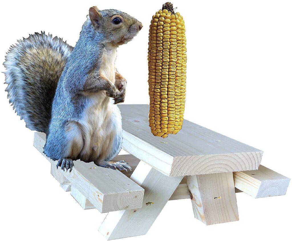 SquirrelSupply.com -Squirrel Feeder Picnic Table - Floor or Table Top Mount - Large Size - Hand Made in USA - No Tools Required - Corn Cob Feeder for Squirrel - 2