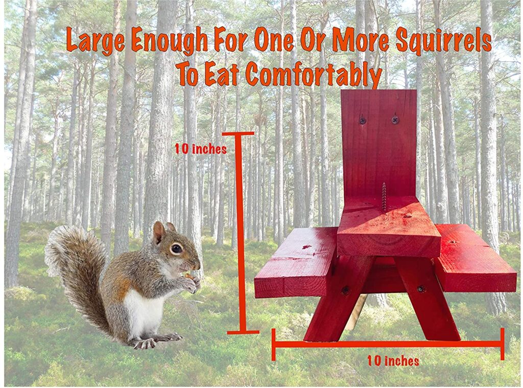 SquirrelSupply.com - Red Squirrel Feeder Picnic Table - Large