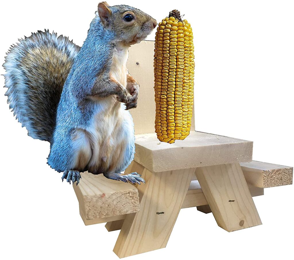 SquirrelSupply.com - Squirrel Feeder Picnic Table - Hand Made in USA - Uses Corn Cob or Apple for Fun Squirrel Dining