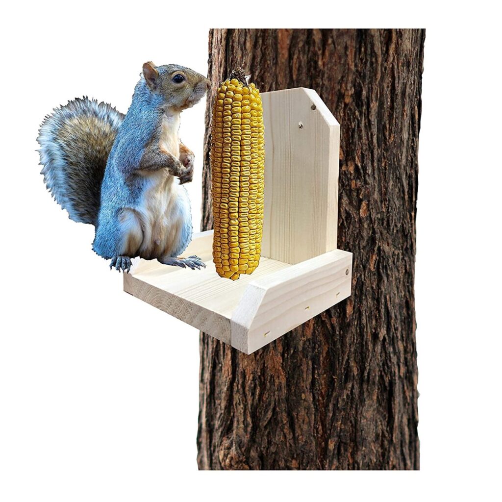 SquirrelSupply.com - Squirrel Feeder Platform – Hand Made in USA – Uses Corn Cob for Fun Squirrel Entertainment